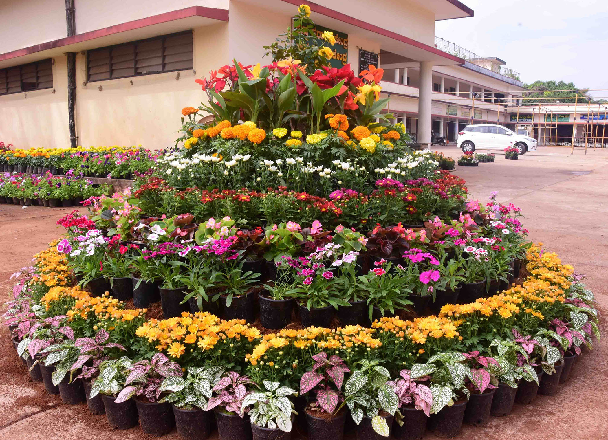 ಫೆ.10ರಿಂದ ಉಡುಪಿಯಲ್ಲಿ ಜಿಲ್ಲಾಮಟ್ಟದ ಫಲಪುಷ್ಪ ಪ್ರದರ್ಶನ